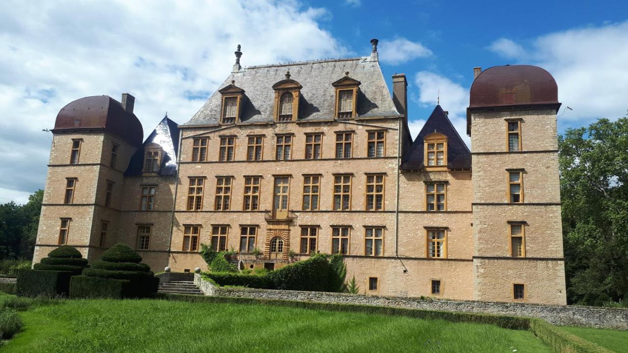 Bed and Breakfast Le Moulin Neuf de Parenty à Neuville-sur-Saône Extérieur photo